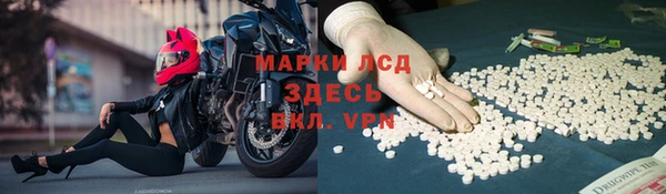 гидра Елабуга