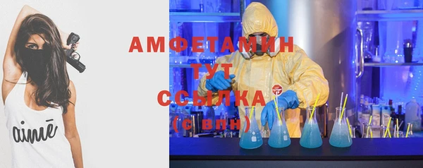 гидра Елабуга