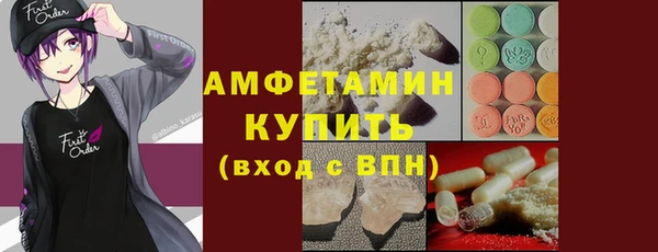 сатива Елизово