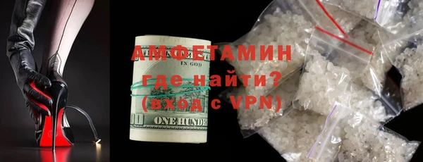 гидра Елабуга