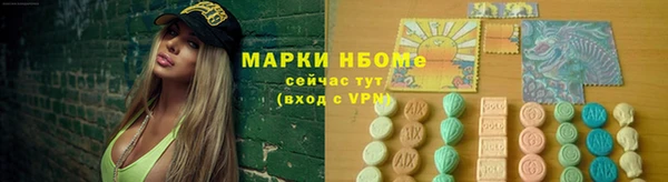 гидра Елабуга