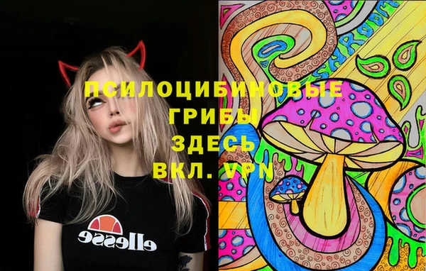 гашиш Ельня