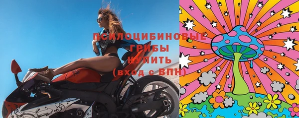 гидра Елабуга
