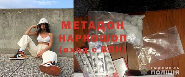 сатива Елизово