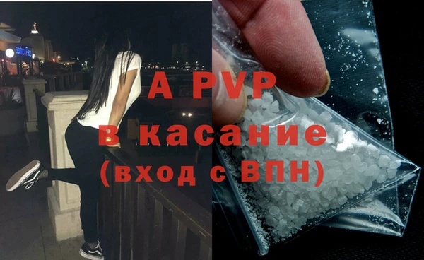 сатива Елизово