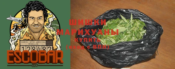 сатива Елизово