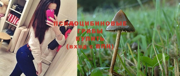 гидра Елабуга