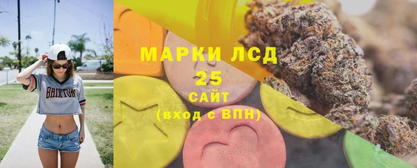 гидра Елабуга