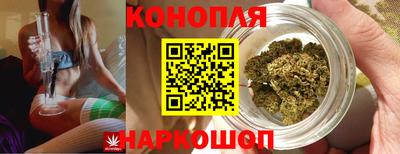 стафф Гусиноозёрск