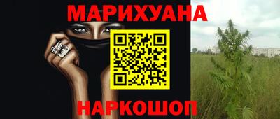 крисы Балаково