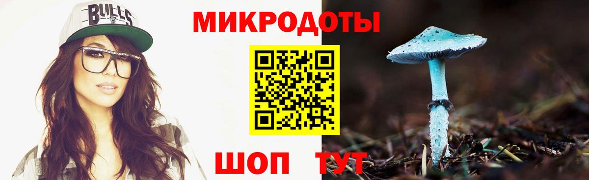 Галлюциногенные грибы Psilocybine cubensis Рузаевка